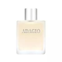 Dilis Parfum туалетная вода Adagio, 100 мл