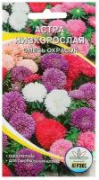 Семена цветов Астра, смесь, низкорослая, 0,2-0,25 г