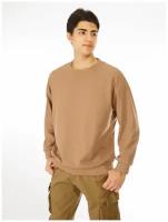 Свитшот мужской Jane Flo- темно-бежевый,L-50/толстовка джемпер пуловер лонгслив мужской oversize