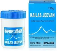 Аюрведическая мазь Кайлас Дживан Kailas Jeevan 120 грамм