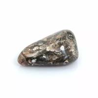 Камень натуральный "Агат Турителла (Черепаховый Агат)", галтовка (5-10 г, 20-30 мм)