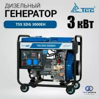 Дизельный генератор TSS SDG 3000EH