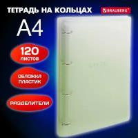 Тетрадь на кольцах со сменным блоком А4 305х230 мм, 120 листов с разделителями, Brauberg, Зеленый, 404625