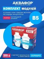 Сменный модуль для систем фильтрации воды Аквафор В5 (комплект 2 шт)