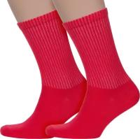 Комплект из 2 пар мужских носков PARA socks 2-M2D26, размер 25-27