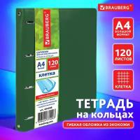 Тетрадь на кольцах со сменным блоком для учебы Большая, А4 (240х310 мм), 120 листов под кожу, клетка, Brauberg Joy, зеленый, 404508