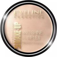 EVELINE Пудра минеральная с шелком Art Professional Make-up матирующая, 14 г, 31 Transparent