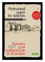 Бумага для набросков и эскизов Альт, А4 (210 х 297 мм), 20 листов, профессиональная серия, Арт. 4-088