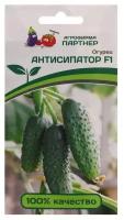 Семена огурец партенокарпический "Антисипатор" F1, 5 шт