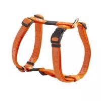 Rogz Шлейка серия Fancy dress размер M (см) ширина 1,6 см Веселая прогулка (H-HARNESS) SJ12CP 0,058 кг 38342