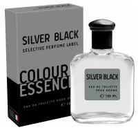 Delta parfum Туалетная вода мужская Colour Essences Silver Black