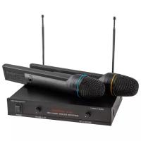 AUDIOVOICE WL-21VM Радиосистема (радиомикрофон)