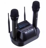 Беспроводные аккумуляторные радиомикрофоны SkyDisco MIC-WL26 Black