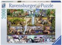 Ravensburger. Пазл карт. 2000 "Полки Дикого королевства"