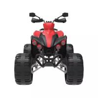 RiverToys Квадроцикл River Toys P444PP