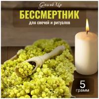 Сухая трава Бессмертник (цветы) для свечей и ритуалов, 5 гр