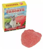 Солонец "Клубника" для грызунов, 50 г, коробка