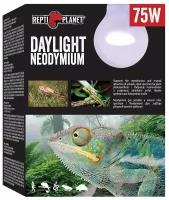 Террариумная греющая лампа Repti Planet Daylight Neodymium, 75 Вт, неодимовая