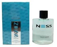 Parfums Evaflor Мужской Ness For Men Туалетная вода (edt) 100мл