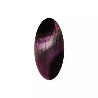 Irisk Professional Гель-лак 3D Cat Eye, 10 мл, 02