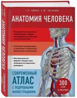 Билич Г. Л, Зигалова Е. Ю. Анатомия человека. Современный атлас с подробными иллюстрациями