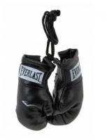 Брелок Mini Boxing Glove In Pairs черн. - Everlast