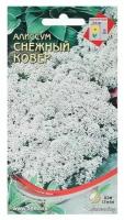 Семена цветов Алиссум "Снежный ковер", 180 шт