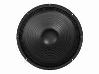 Speaker-SPA12 Динамик НЧ-СЧ 12", Leem