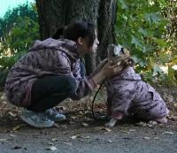 Толстовка для собак средних пород