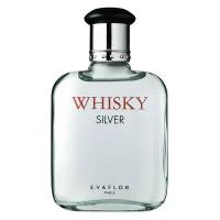 Parfums Evaflor Мужской Whisky Silver Туалетная вода (edt) 100мл