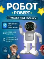 Танцующий робот + APP + Bluetooth колонка Kid Joy Dance Robot Robert (RS01) Global Grey