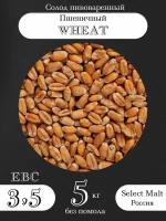 Солод пивоваренный WHEAT (Пшеничный) SELECT MALT (Селект молт) 5 кг