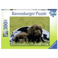 Пазл Ravensburger XXL Щенки черного лабрадора (13209), 300 дет