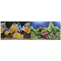 Фон для аквариума Prime Морские кораллы/Подводный мир 50х100см