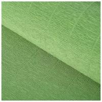 Бумага для упаковок и поделок, гофрированная, нефрит, зелёная, однотонная, двусторонняя, рулон 1 шт, 0,5 х 2,5 м