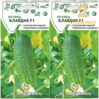 Огурец Клавдия F1 (10 семян), 2 пакета