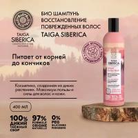 Natura Siberica био-шампунь Doctor Taiga Altai Cedar Bark Pro-Oil Repair восстановление поврежденных волос