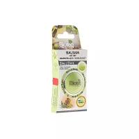Bioteq Бальзам для губ Regenerative and Moisturizing Olive Oil
