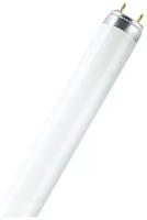 Лампа люминесцентная Ledvance-osram OSRAM-СМ new L18W/ 840 LUMILUX G13 d26x590mm 1350lm 4000K - лампа