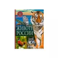 ПопулярнаяДетскаяЭнциклопедия Животные России (от 6 лет) (Владис)
