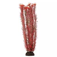 Laguna Растение для аквариума "Амбулия" (красное), 46 см