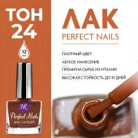 Holy Rose, Цветной лак для ногтей Perfect Nails, тон №24 Коричневый, 12 мл