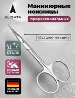 Ножницы маникюрные для ногтей Alisata, 11 см