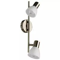 Спот Arte Lamp PARRY A5062AP-2AB