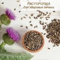 Расторопша, семена расторопши, семена Алтайской расторопши 1000 гр