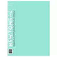 Папка вкладыш 40л NEWtone PASTEL мята 40AV4_05039 Hatber