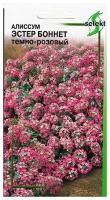 Алиссум Эстерн Боннет, тёмно-розовый, 20 семян