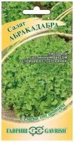 Семена Гавриш, Салат "Абракадабра" 0,5 грамма, зеленый, маслянистый