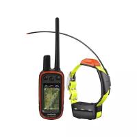 GPS-ошейник Garmin Alpha 100 с ошейником T5