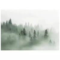Фотообои бумажные Арт Узор Туманный лес
